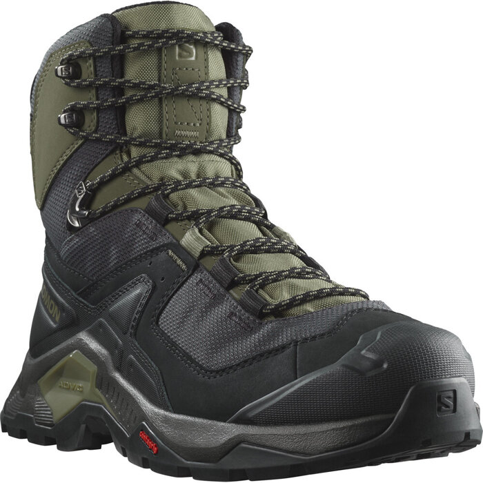 Herren Wanderschuhe SALOMON QUEST ELEMENT GTX 