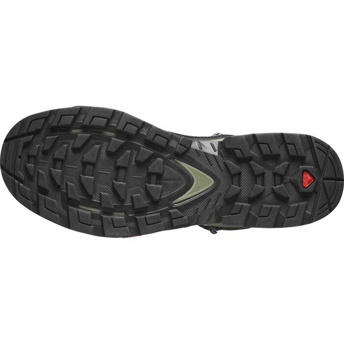 Herren Wanderschuhe SALOMON QUEST ELEMENT GTX 