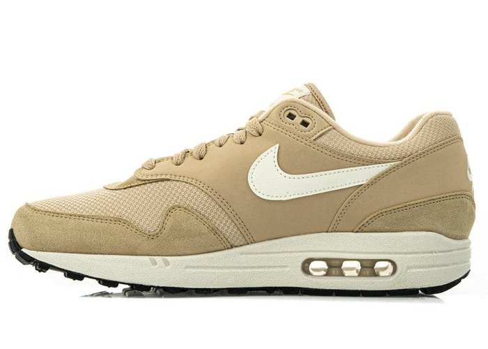 Nike Air Max 1 (AH8145-202)