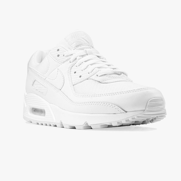 Nike Air Max 90 (CN8490-100)