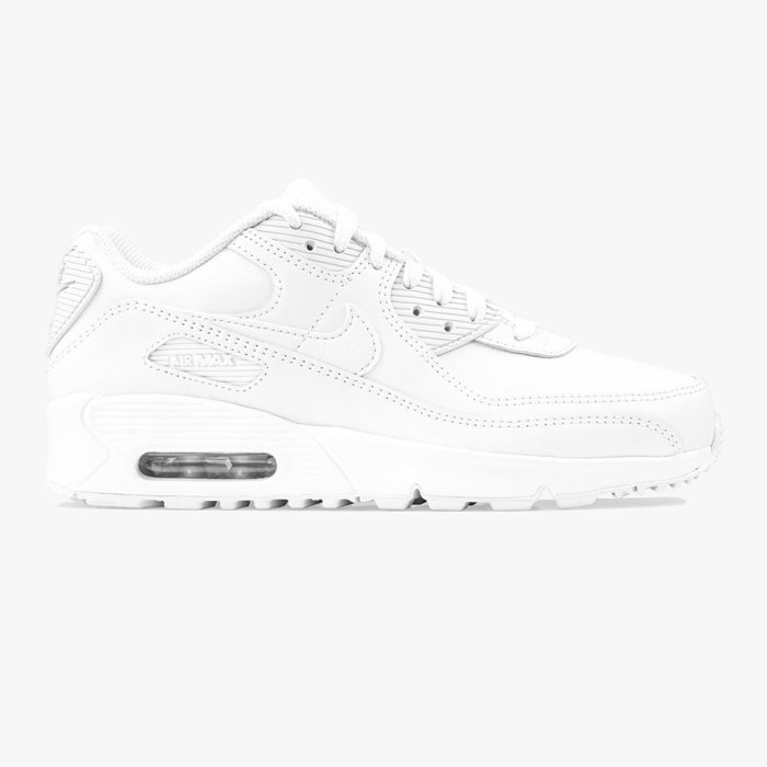 Nike Air Max 90 Ltr GS (CD6864-100)