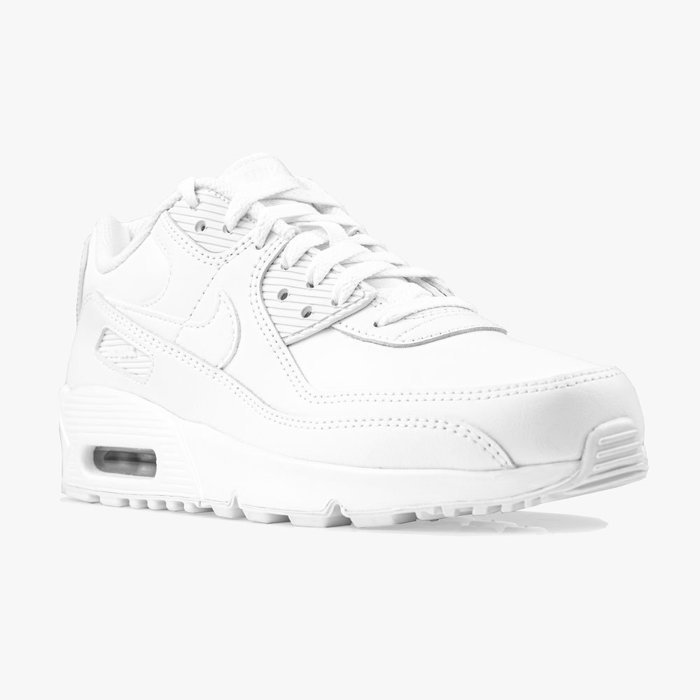 Nike Air Max 90 Ltr GS (CD6864-100)