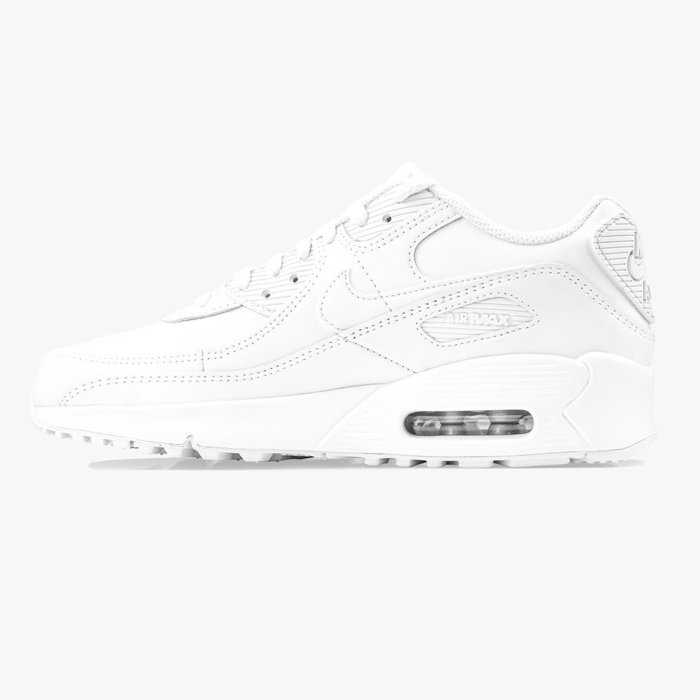 Nike Air Max 90 Ltr GS (CD6864-100)