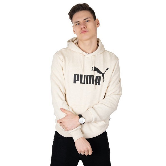 Puma Essentials Hoody Big (852422-89)