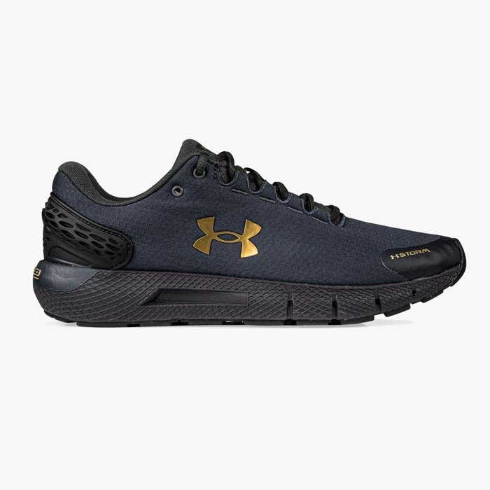 Under Armour Charged Rogue 2 (3023371-500)