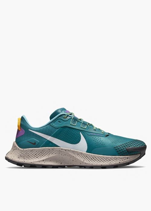 Laufschuhe Herren Nike PEGASUS TRAIL 3