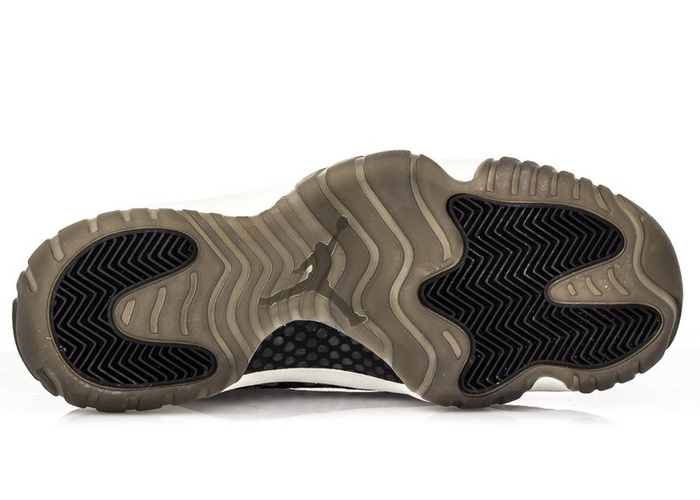 Nike Jordan Future Premium (652141-301)