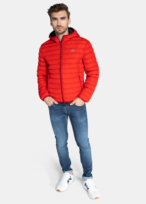 Daunenjacke für Herren Lacoste (BH1930-240)