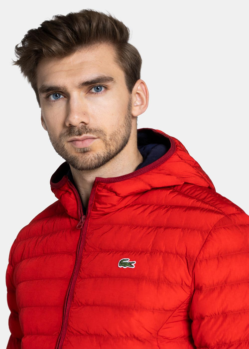 Daunenjacke für Herren Lacoste (BH1930-240)